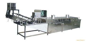 供應漂燙氣泡清洗機與升降機的制造工藝與應用解析